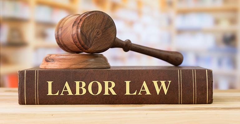 A Quick Guide to Florida Labor Laws