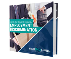 Image of Understanding Employment Discrimination Ebook