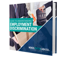 Image of Understanding Employment Discrimination Ebook