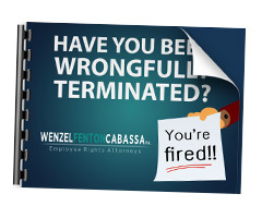 Have you been wrongfully terminated? Ebook